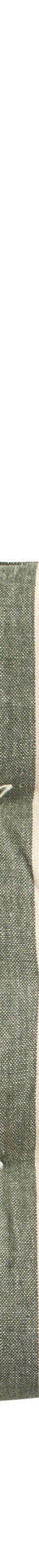 Galette de chaise carrée rayée - lot de 2 (eucalyptus) Galette de chaise carrée rayée - lot de 2 (eucalyptus)